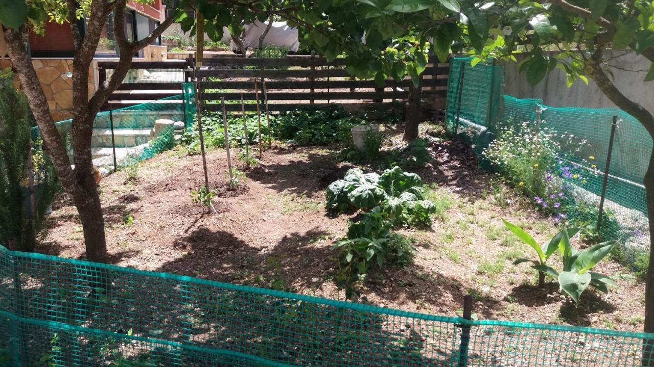Village Life Studio Kanakades Екстер'єр фото